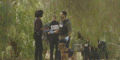 poster de la série Une pulsion animale