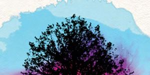 poster de la série Flame Trees