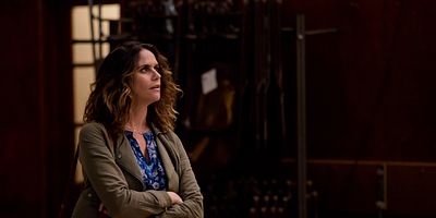 poster de la série Just the Facts