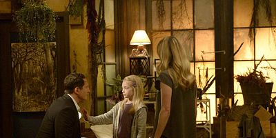 poster de la série Renard contre Renard