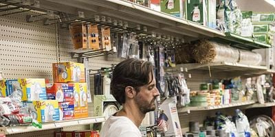 poster de la série All the Things