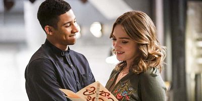 poster de la série L'armée des gorilles