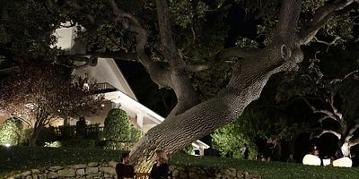 poster de la série Chemin de Croix