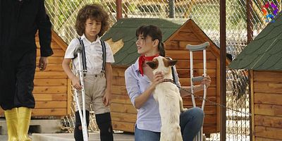 poster de la série Dolunay 4.Bölüm