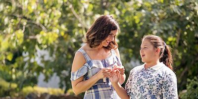 poster de la série Liens fraternels