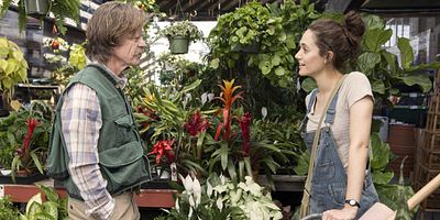 poster de la série Francis