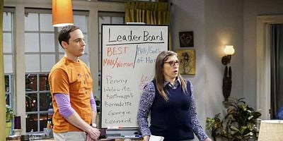 poster de la série L'indicateur matrimonial