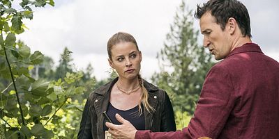 poster de la série L'aiguille de l'immortel