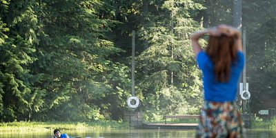poster de la série La forêt désenchantée