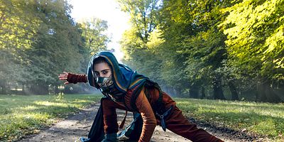 poster de la série Le Phénix