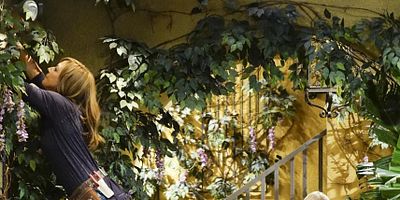 poster de la série Changement de propriétaire