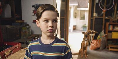 poster de la série La phobie des chiens