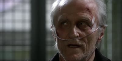 poster de la série Brandy à jamais