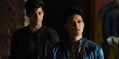 poster de la série L'appel du sang