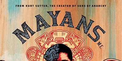 poster de la série Affaires internes