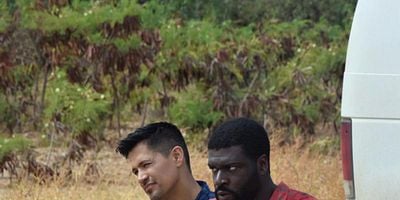 poster de la série Noyer le poisson