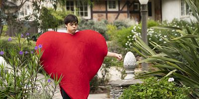 poster de la série Le joli cœur