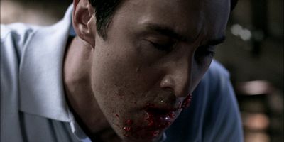 poster de la série Métamorphose