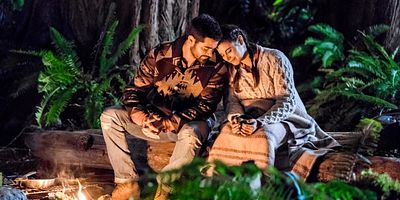 poster de la série L'arbre qui cache la forêt