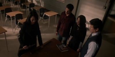 poster de la série Le Renard et le Loup