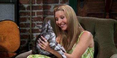 poster de la série Celui qui ne voyait qu'un chat