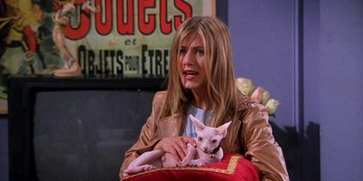 poster de la série Celui qui jouait à la balle