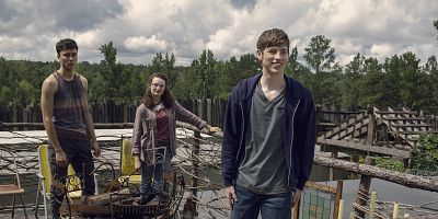 poster de la série Évolution