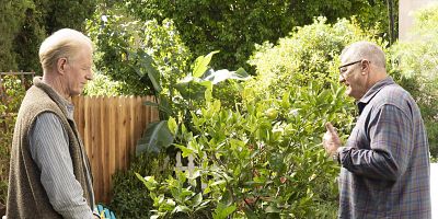 poster de la série Les belles promesses