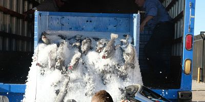 poster de la série Soirée entre hommes