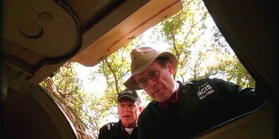 poster de la série La Momie