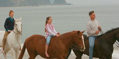 poster de la série Hiatus - 2ème partie