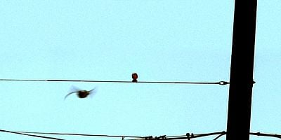 poster de la série Les yeux dans les yeux