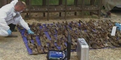 poster de la série ... au bout de l'enfer