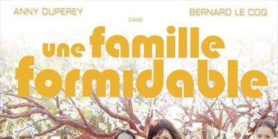 poster de la série L'Enigme des papas perdus