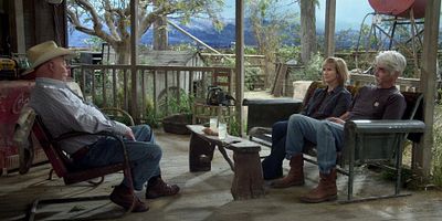 poster de la série Comme un arbre qui tombe