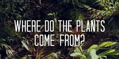 poster de la série Redwood