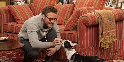 poster de la série AWOL