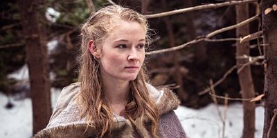 poster de la série Les loups