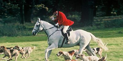 poster de la série Mort d'un vagabond
