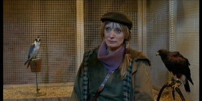 poster de la série Les Oiseaux de proie