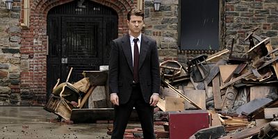 poster de la série Sauts de puce