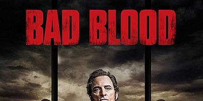 poster de la série Mais qui êtes-vous ?
