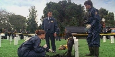 poster de la série Mort au combat