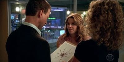 poster de la série Le saut de l'ange