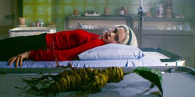 poster de la série Le sort de la mandragore