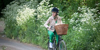 poster de la série Les fées de Fryfam