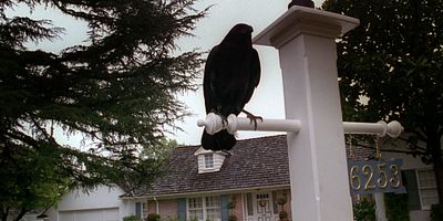 poster de la série Chimère