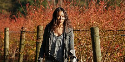 poster de la série Le vieil homme et l'anomalie