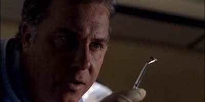 Épisode 10 : Quand les insectes parlent