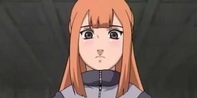 poster de la série L'ombre du clan Fûma